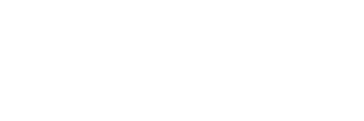 STAND BY professional car service